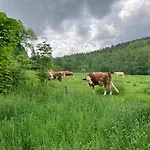 בקתה Roubenka U Andelu, Sumava קאספרסקה הורי
