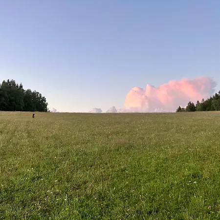 Roubenka U Andelu, Sumava Domek alpejski