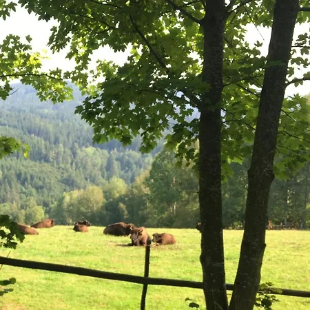 Horská chata Roubenka U Andelu, Sumava *