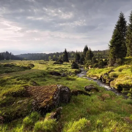 Roubenka U Andelu, Sumava