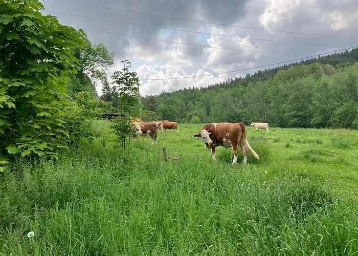 シャレー Roubenka U Andelu, Sumava カシュペルスケー・ホリ