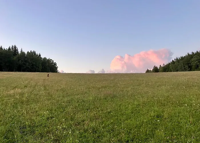 Roubenka U Andelu, Sumava シャレー