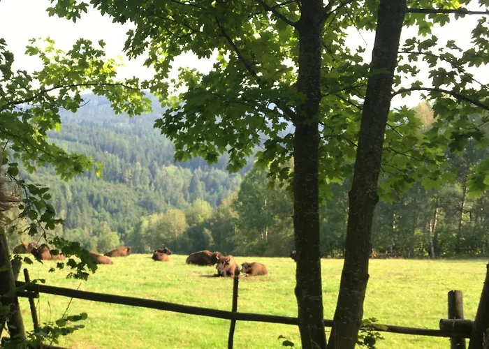 Horská chata Roubenka U Andelu, Sumava *