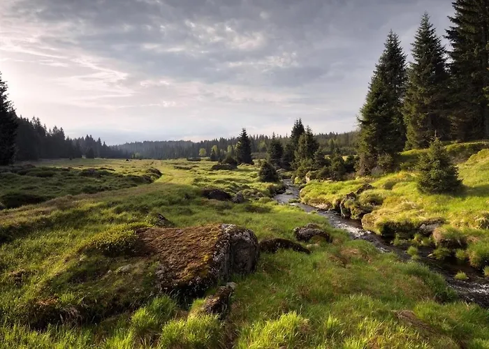 Roubenka U Andelu, Sumava